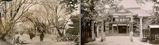 左の桜馬場公園と右の高岡物産陳列場の画像。ともに高岡市立博物館蔵。